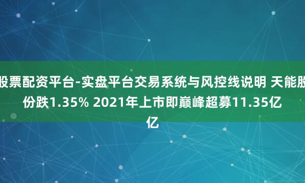 股票配资平台-实盘平台交易系统与风控线说明 天能股份跌1.35% 2021年上市即巅峰超募11.35亿