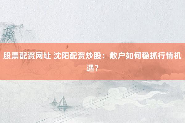 股票配资网址 沈阳配资炒股：散户如何稳抓行情机遇？