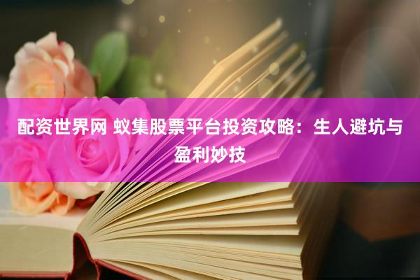 配资世界网 蚁集股票平台投资攻略：生人避坑与盈利妙技