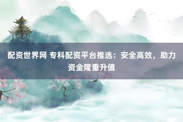 配资世界网 专科配资平台推选：安全高效，助力资金隆重升值