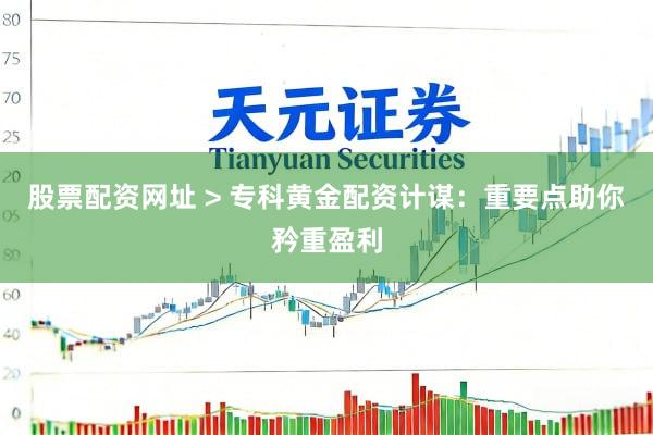 股票配资网址 > 专科黄金配资计谋：重要点助你矜重盈利