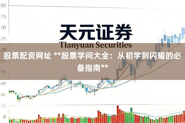 股票配资网址 **股票学问大全：从初学到闪耀的必备指南**